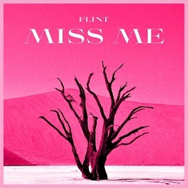 Flint - Miss Me (Instrumental Version) загрузить