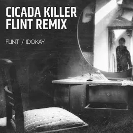 Flint — Cicada Killer - Flint Remix (Feat. F.e) Ft Idokay — обложка