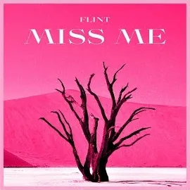 Flint — Miss Me (Instrumental Version) — обложка