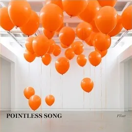 Flint — Pointless Song — обложка